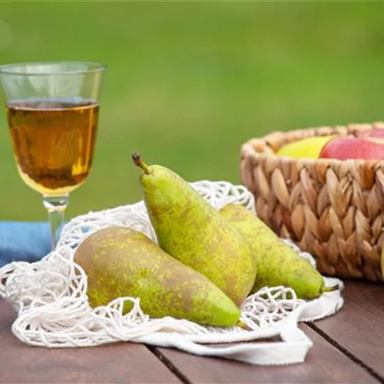 Birnen aus dem eigenen Garten genießen Birnen aus dem eigenen Garten genießen