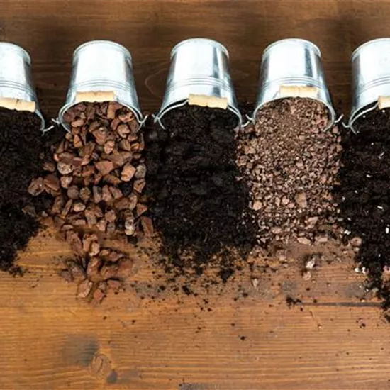 Die passende Erde für die Lieblingspflanzen in Haus und Garten Die passende Erde für die Lieblingspflanzen in Haus und Garten