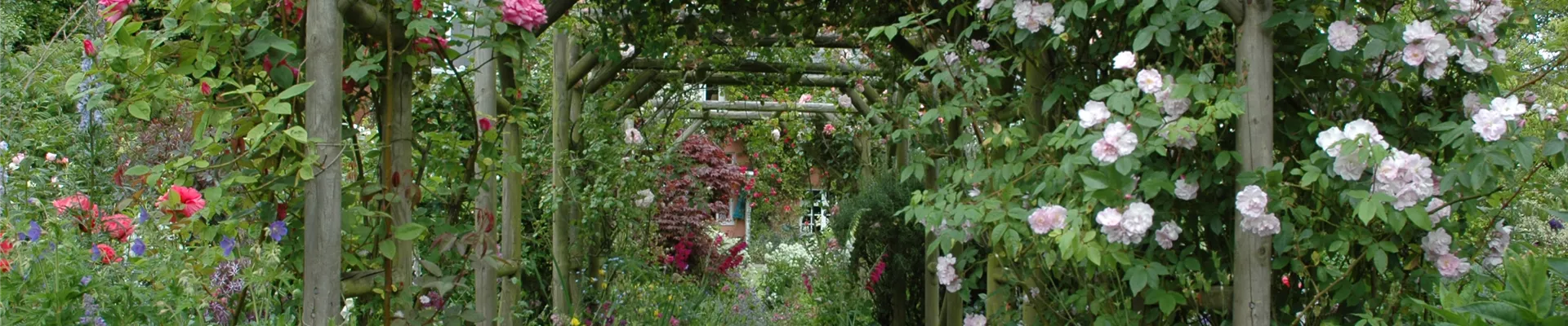 GS621480.jpg GS621480.jpg