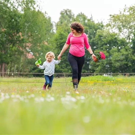 Ein Spielparadies für Kinder im eigenen Garten Ein Spielparadies für Kinder im eigenen Garten