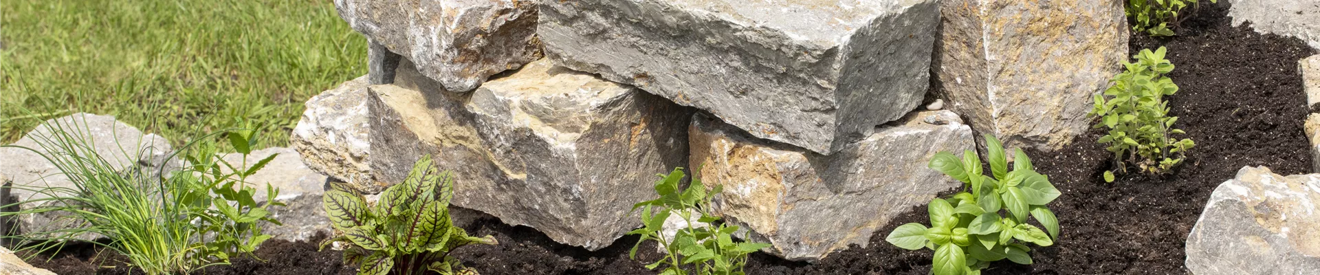 GS620286.jpg GS620286.jpg