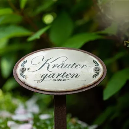 Ernte ohne Garten - Im duftenden Kräutergarten auf dem Balkon Ernte ohne Garten - Im duftenden Kräutergarten auf dem Balkon