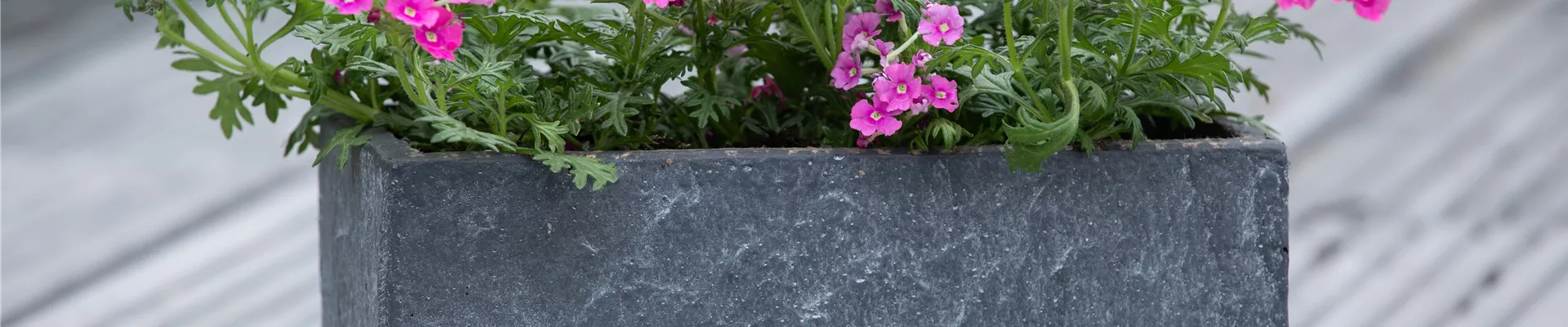 GS622898.jpg GS622898.jpg