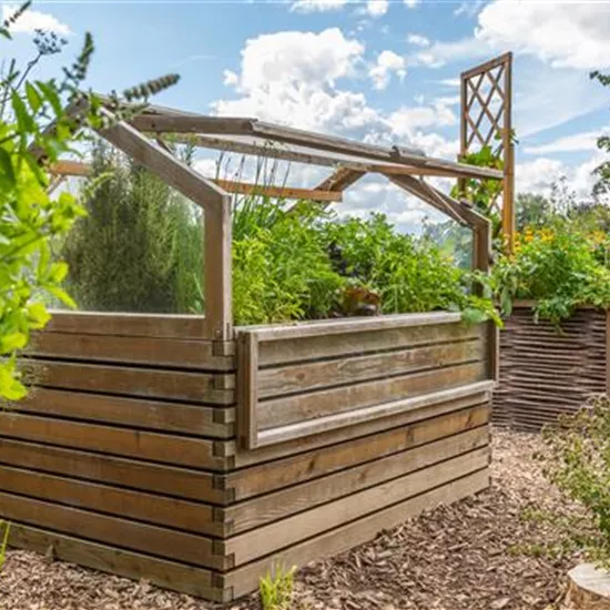 Gemüseanbau im Hochbeet - Ein neuer Trend nach alten Regeln Gemüseanbau im Hochbeet - Ein neuer Trend nach alten Regeln