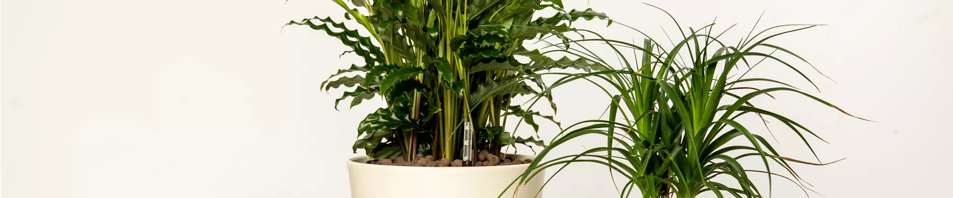 GS644845.jpg GS644845.jpg