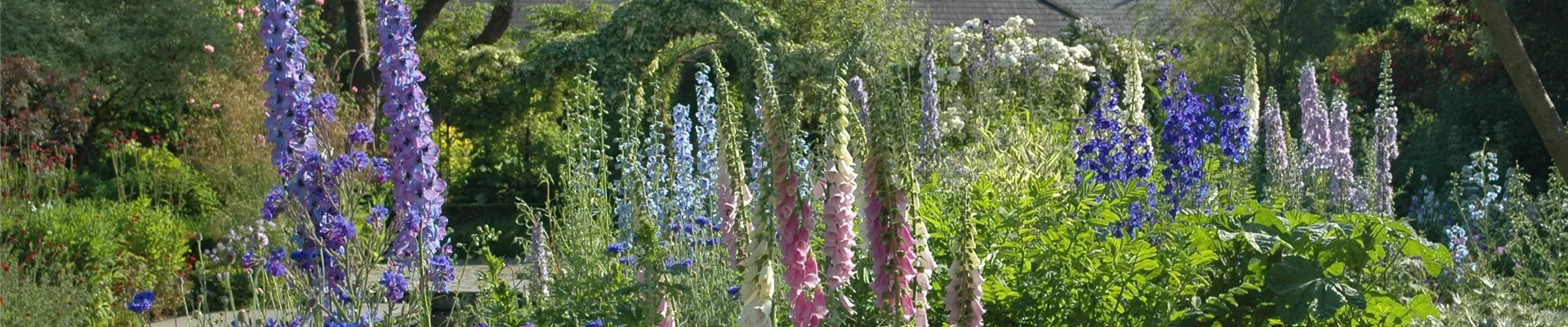 GS621730.jpg GS621730.jpg