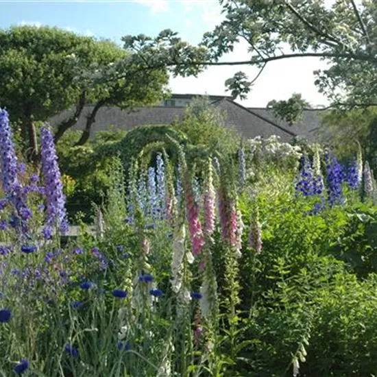 Jetzt ist es wieder soweit: Die Gartengestaltung mit Stauden Jetzt ist es wieder soweit: Die Gartengestaltung mit Stauden