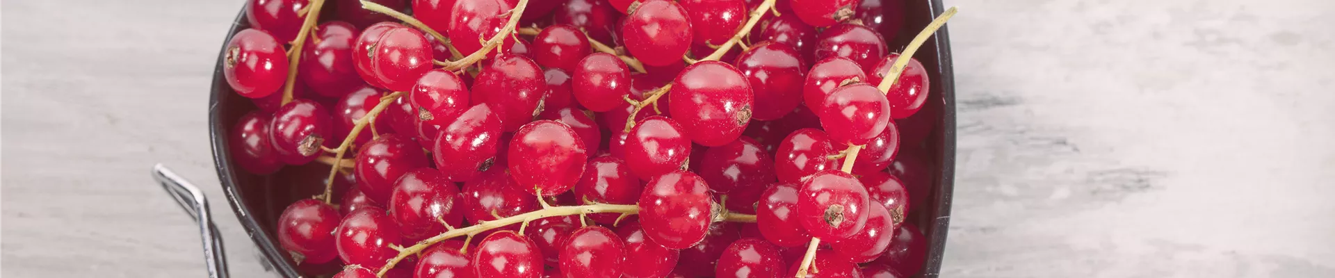 GS501726.jpg GS501726.jpg