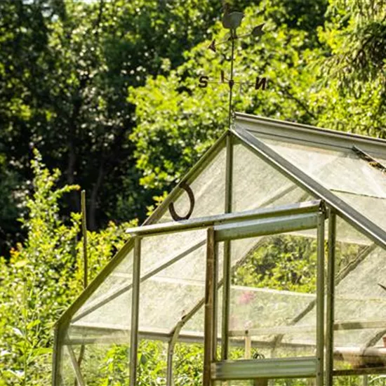 Kleine Gewächshäuser für kleine Gärten