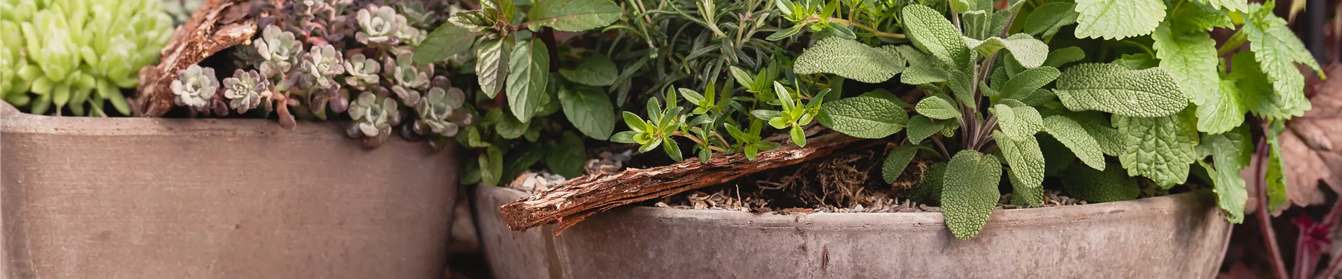 GS585717.jpg GS585717.jpg