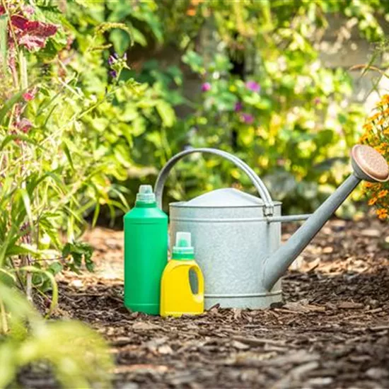 Pflanzen düngen für reiche Ernte und Blütenpracht