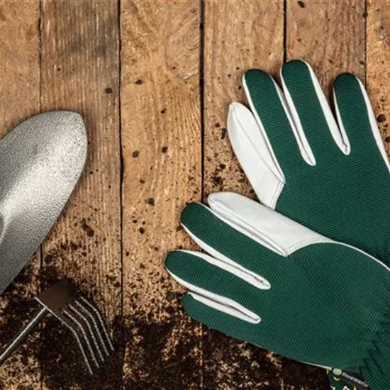 Rechtzeitig für das kommende Gartenjahr den Garten vorbereiten Rechtzeitig für das kommende Gartenjahr den Garten vorbereiten