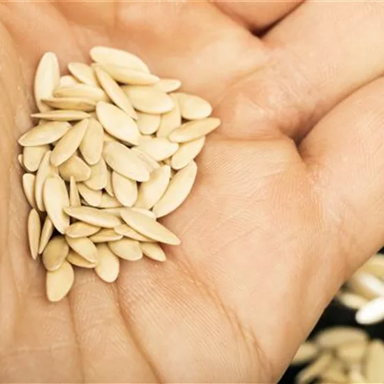 Sämereien auf ihre Haltbarkeit prüfen Sämereien auf ihre Haltbarkeit prüfen