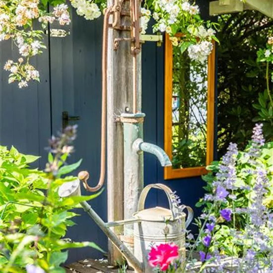 So einfach kann die Gartengestaltung mit Gartenpflanzen sein