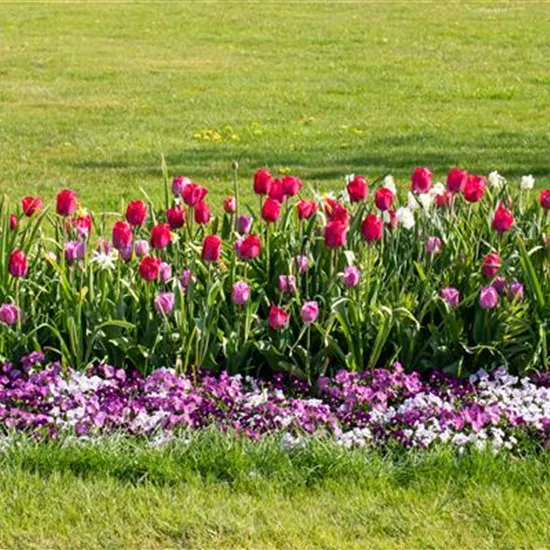 Wie ein pflegeleichter Garten gestaltet wird Wie ein pflegeleichter Garten gestaltet wird