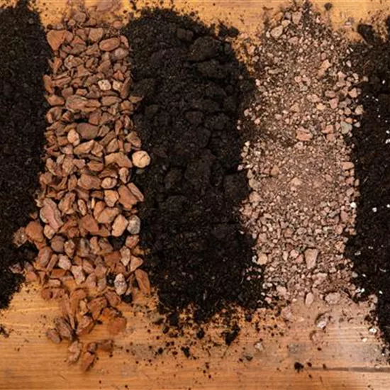 Worauf bei der Wahl der Substrate zu achten ist Worauf bei der Wahl der Substrate zu achten ist