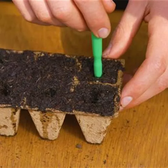 Romatomate - Aussaat Romatomate - Aussaat