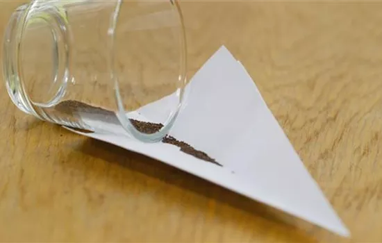 Thymian - Aussaat Thymian - Aussaat