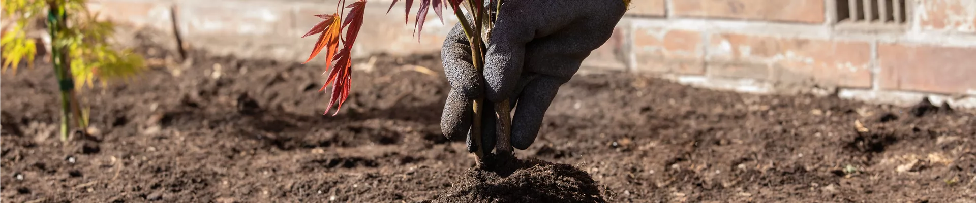 GS659482.jpg GS659482.jpg