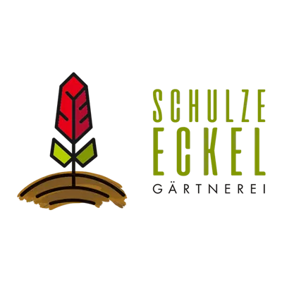 Calluna vulgaris Gardengirls® Calluna vulgaris Gardengirls®