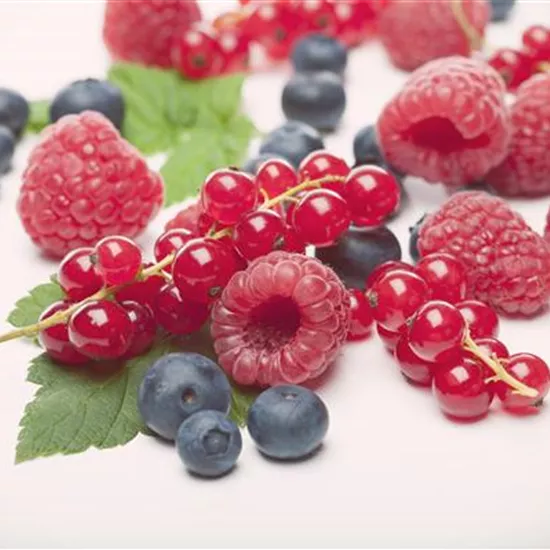 Beerenobst Beerenobst