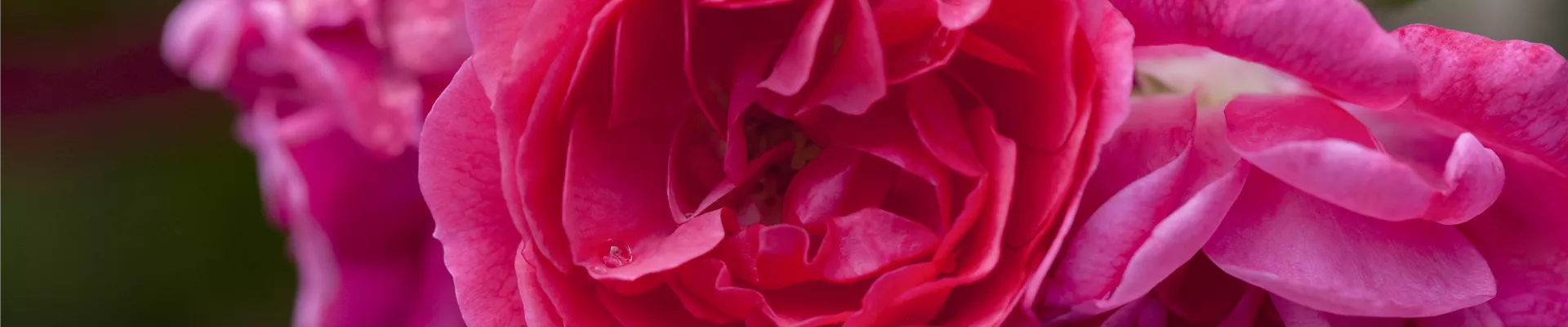 GS499225.jpg GS499225.jpg