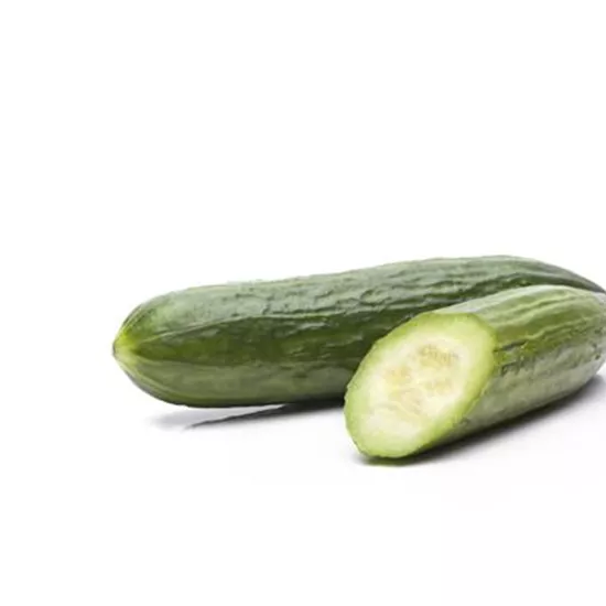 Cucumis sativus Cucumis sativus