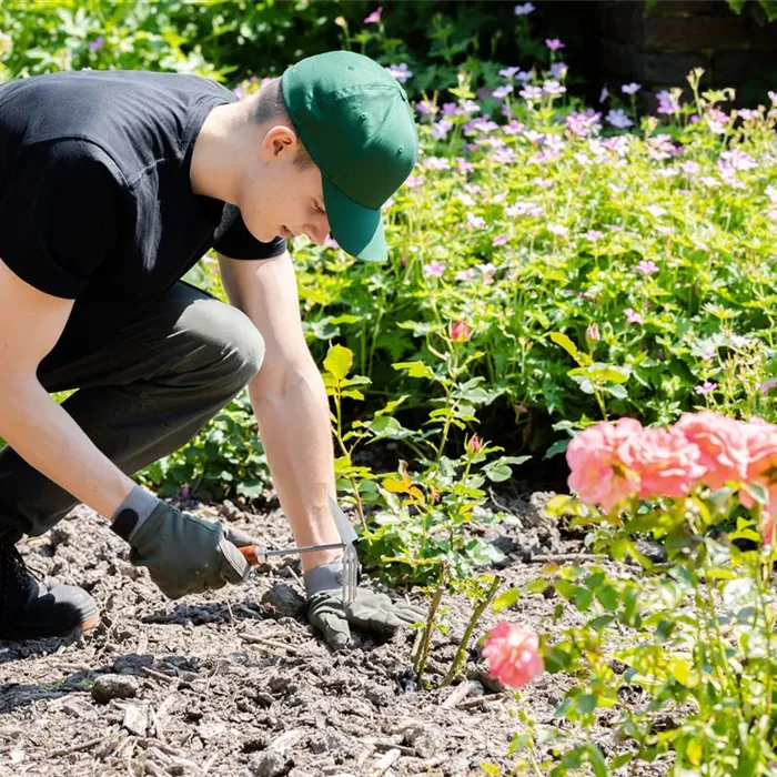Die Grundausstattung fürs Gärtnern für Garten-Neulinge