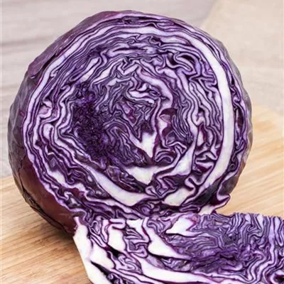 Brassica oleracea var. capitata f. rubra Brassica oleracea var. capitata f. rubra