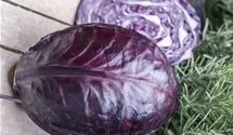 Rotkohl Rotkohl