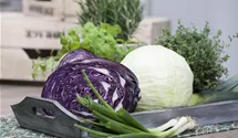 Rotkohl Rotkohl