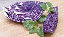 Rotkohl Rotkohl