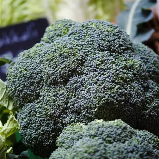 Brassica oleracea var. italica Brassica oleracea var. italica