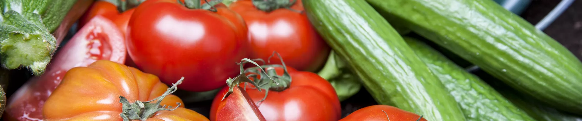 GS457339.jpg GS457339.jpg