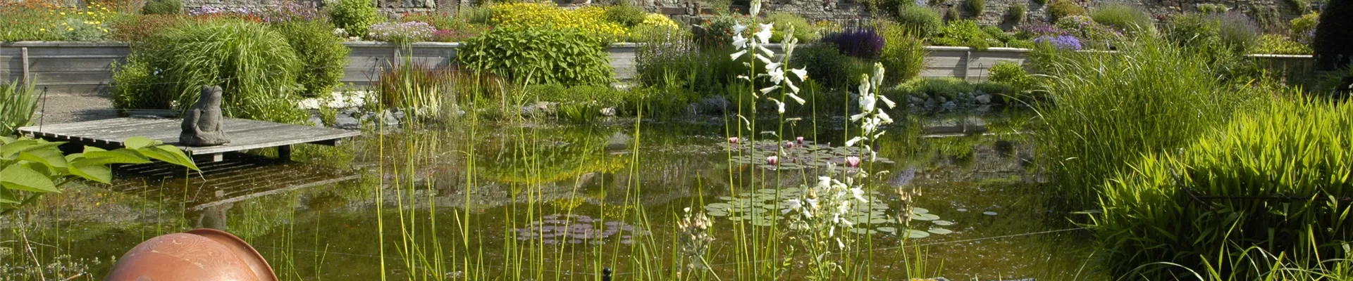 GS619945.jpg GS619945.jpg