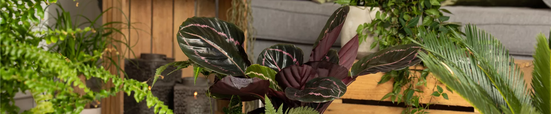 GS610237.jpg GS610237.jpg