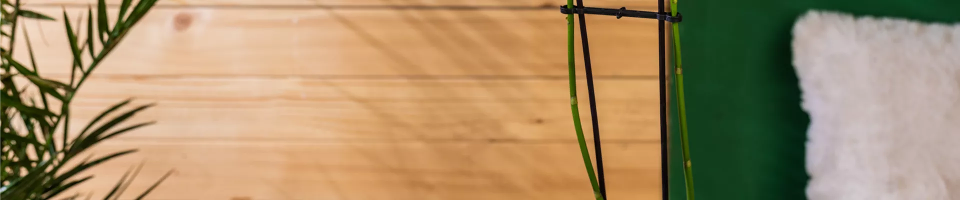 GS701823.jpg GS701823.jpg