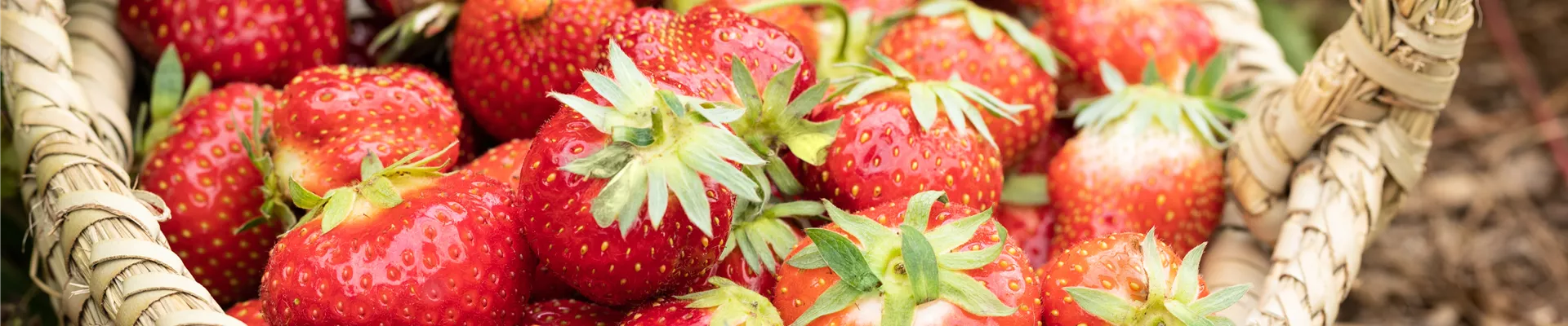 GS673056.jpg GS673056.jpg