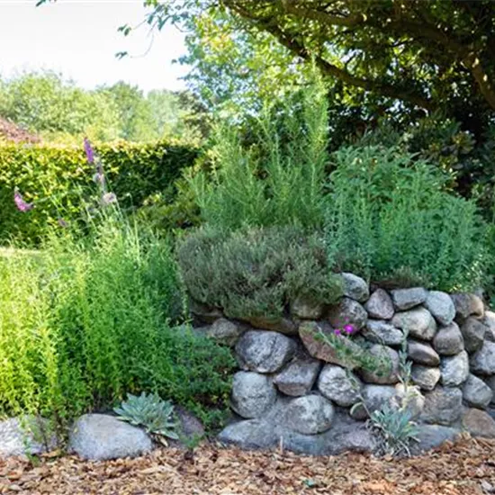 Gemüse und Kräuter kaufen ist immer eine gute Idee Gemüse und Kräuter kaufen ist immer eine gute Idee