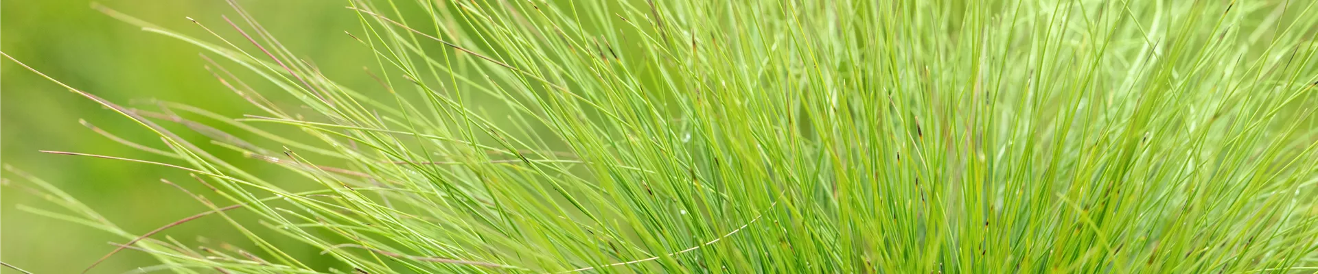 GS672880.jpg GS672880.jpg