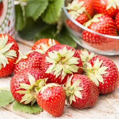 Beerenobst Beerenobst