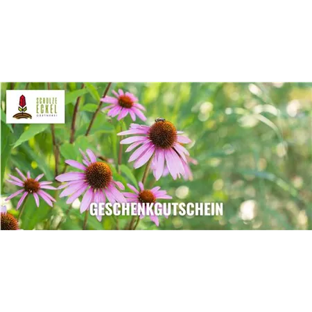 Online Gutschein Online Gutschein