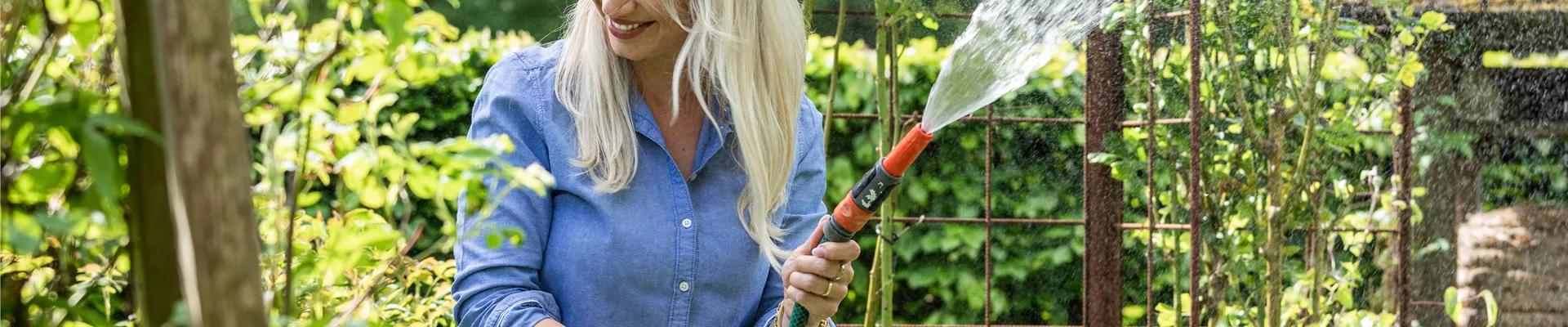 GS744785.jpg GS744785.jpg