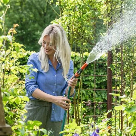 Pflanzenpflege im Sommer für durstige Gartenbewohner Pflanzenpflege im Sommer für durstige Gartenbewohner