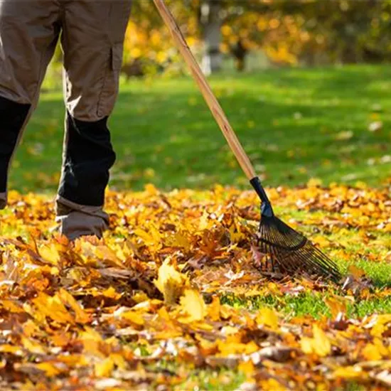 Gartenarbeit im Herbst – Das ist jetzt wichtig Gartenarbeit im Herbst – Das ist jetzt wichtig