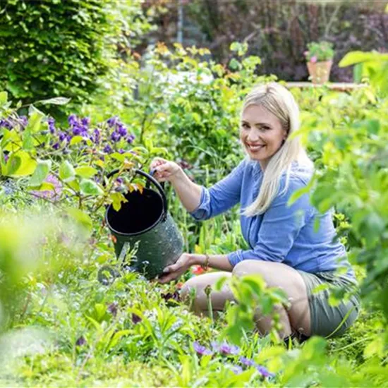 Gartenarbeit im Sommer – Damit’s nicht zu heiß wird!