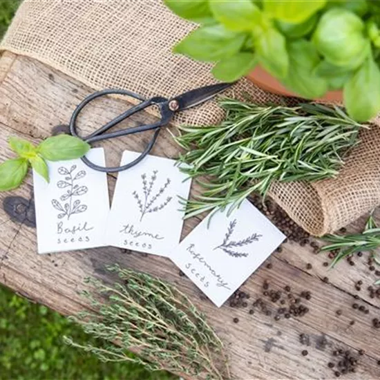 Ein Aussaatkalender sorgt für Übersicht bei der Gartenplanung