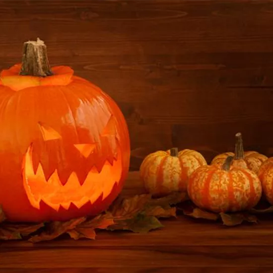 Der Garten zu Halloween – Schaurig schön Der Garten zu Halloween – Schaurig schön