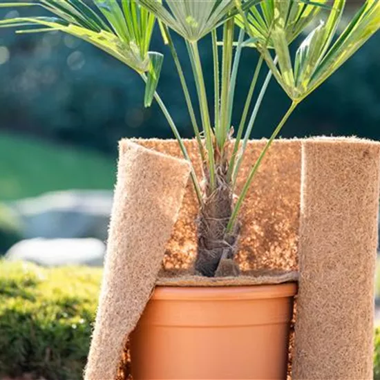 Den Garten winterfest machen Den Garten winterfest machen