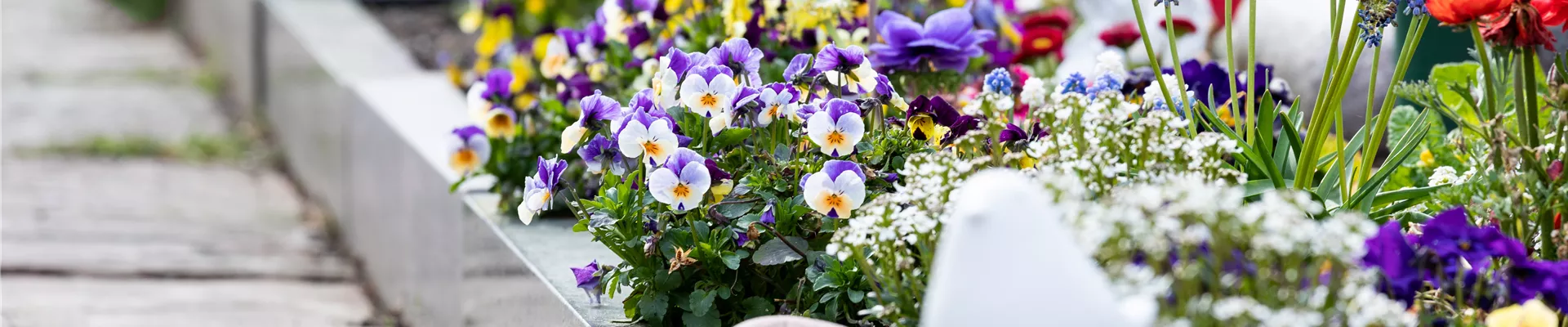 GS728141.jpg GS728141.jpg